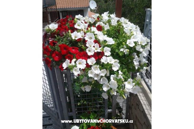 Apartamenty Mira Mark Ražanj Rogoznic – foto 7