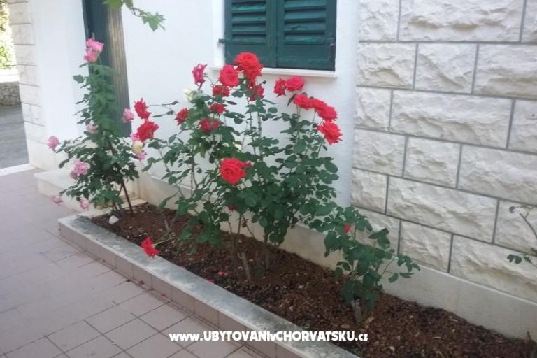 Santa Chiara Apartamenty – foto 12