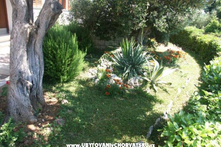 Santa Chiara Apartamenty – foto 5
