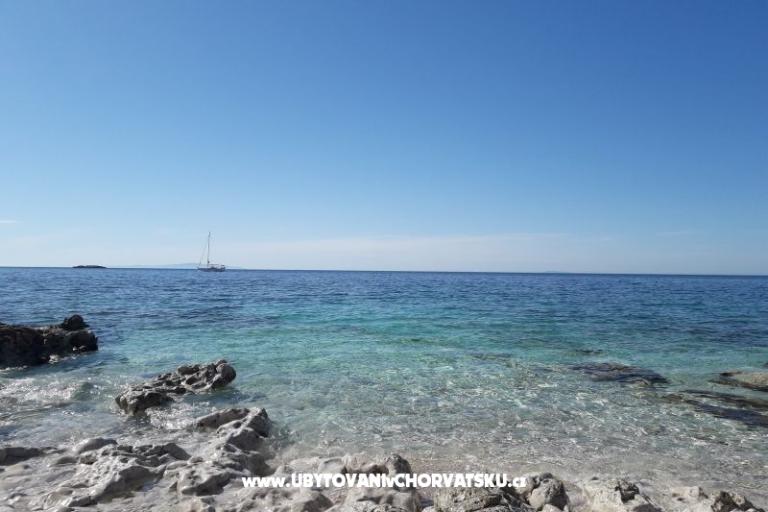 SEA YA – foto 9