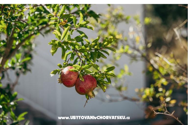 Apartamenty Vidović – foto 4