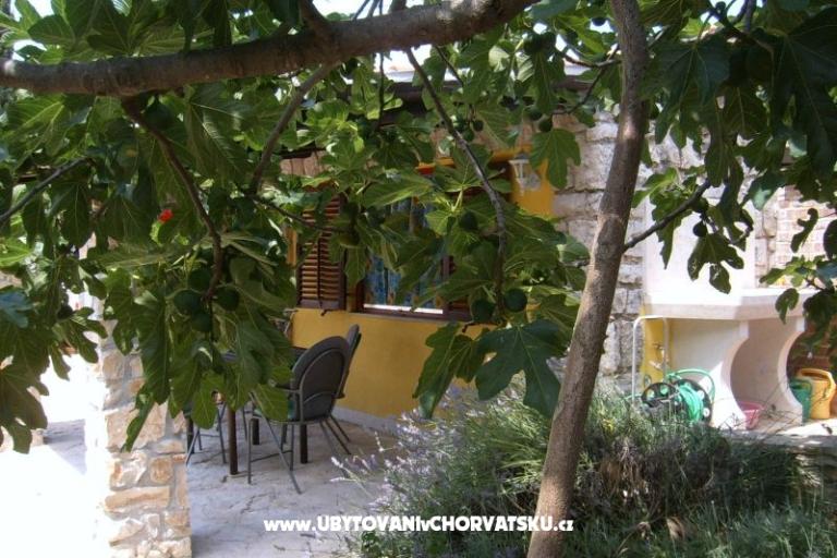 Apartamenty Morena – foto 6