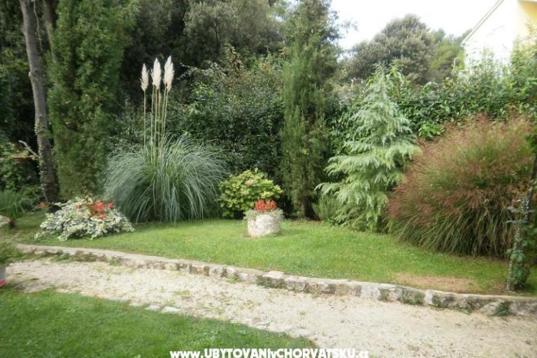 Apartamenty Ana – foto 14