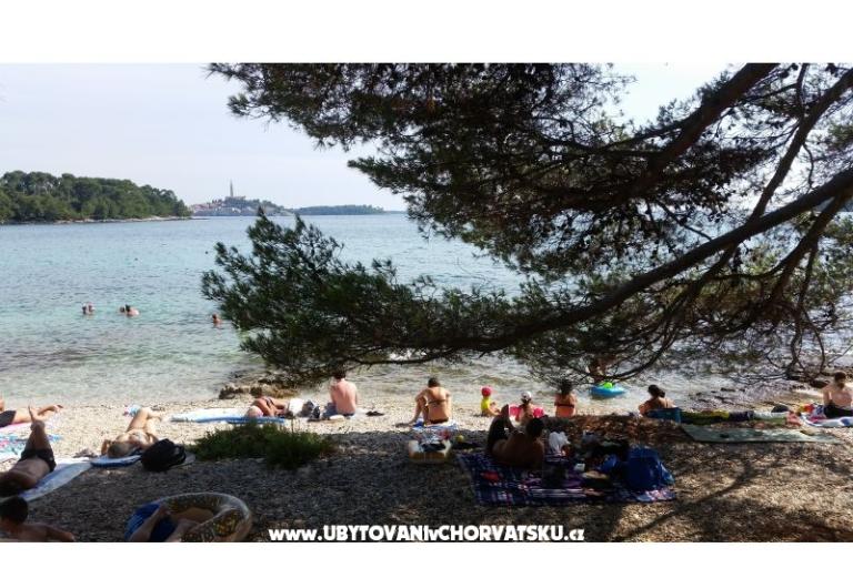 Apartamenty Ana – foto 18