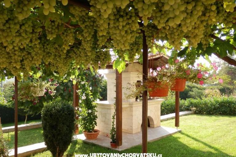 Apartamenty Fantazija – foto 10