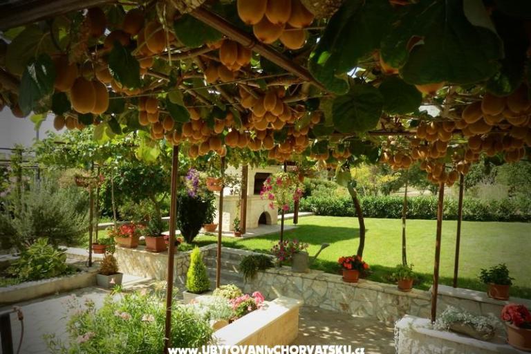 Apartamenty Fantazija – foto 12