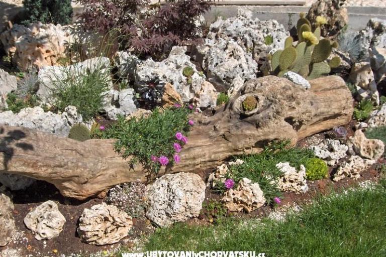 Apartamenty Fantazija – foto 13