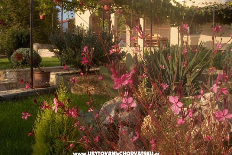 Apartamenty Fantazija – foto 14