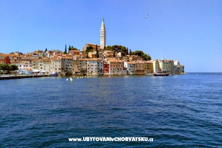 Apartamenty i Pokoje Markovic – foto 11