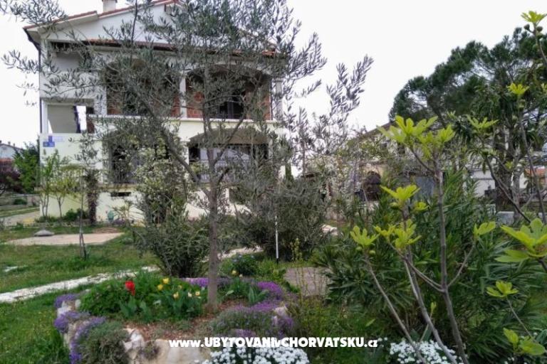 Apartamenty i Pokoje Markovic – foto 6