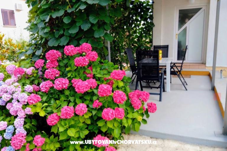 Apartamenty i Pokoje Markovic – foto 9