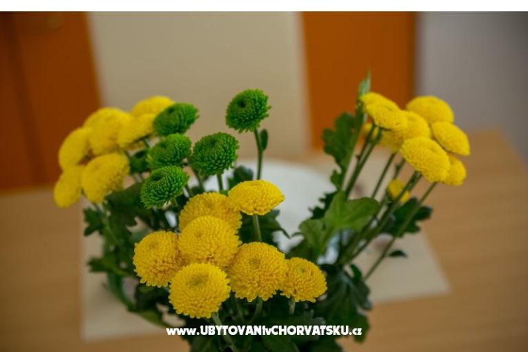 Apartamenty Nada – foto 15