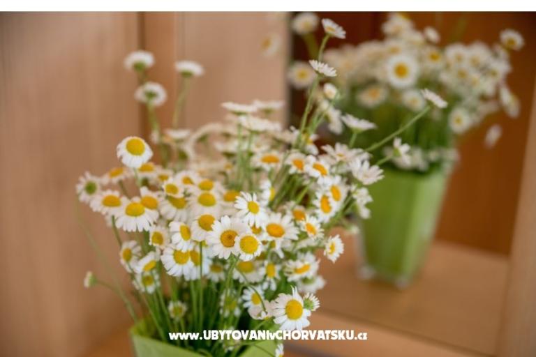 Apartamenty Nada – foto 17