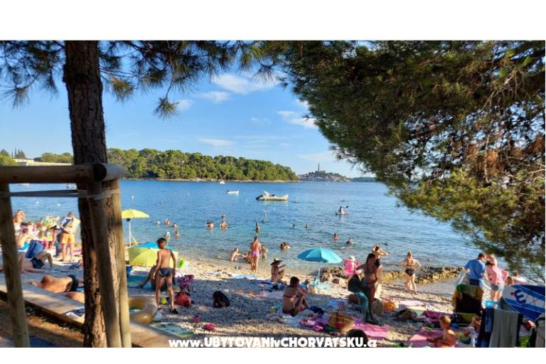 Apartamenty Samsa – foto 12