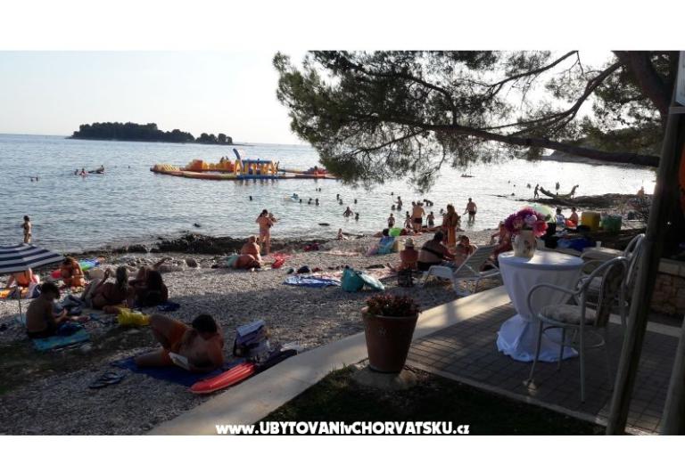 Apartamenty Samsa – foto 17