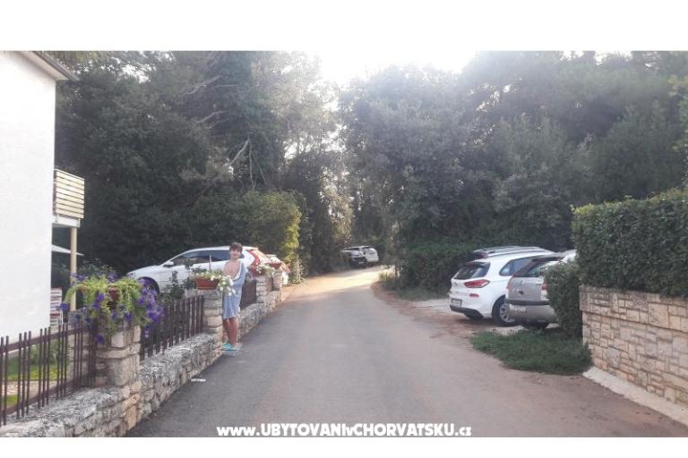Apartamenty Samsa – foto 20