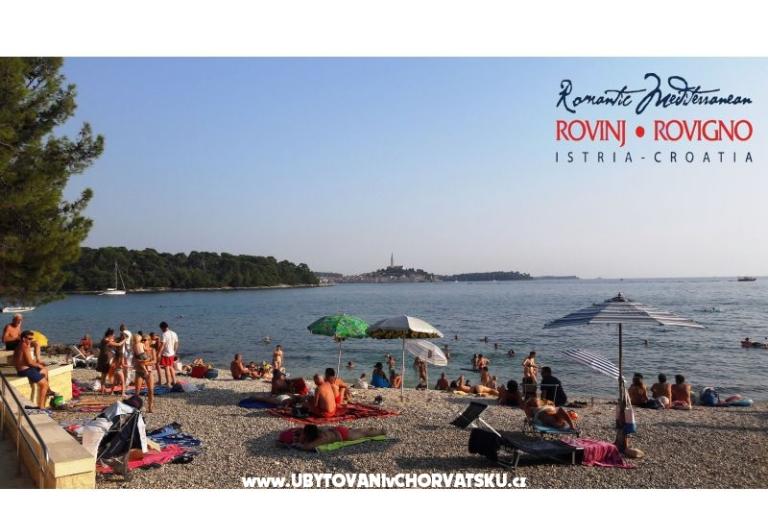 Apartamenty Samsa – foto 9