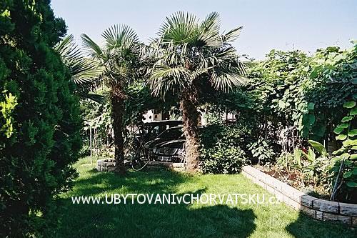 Apartamenty BOS-KO – foto 3