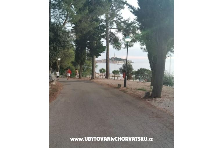 Peputo Luxury Mobile Homes – foto 15