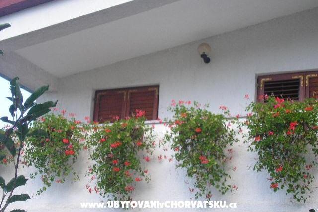 Vila Kristina – foto 6