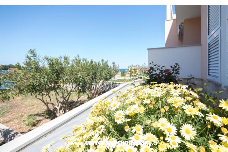 Apartamenty Carić – foto 6