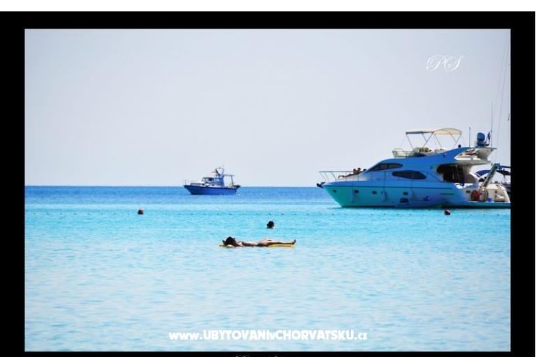 Apartamenty  Zaglav Dugi otok  – foto 12