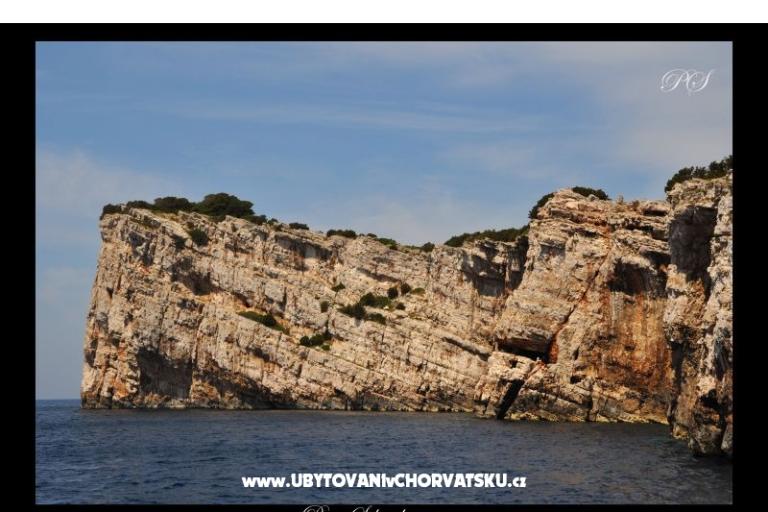 Apartamenty  Zaglav Dugi otok  – foto 15