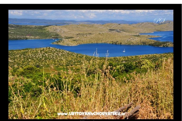 Apartamenty  Zaglav Dugi otok  – foto 17