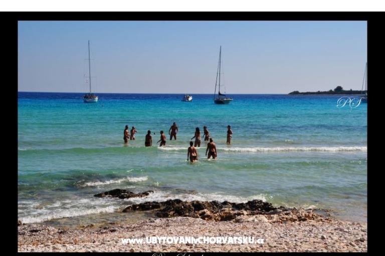 Apartamenty  Zaglav Dugi otok  – foto 9