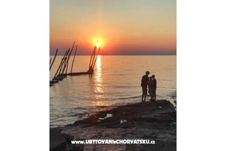 Villa Elena – foto 9