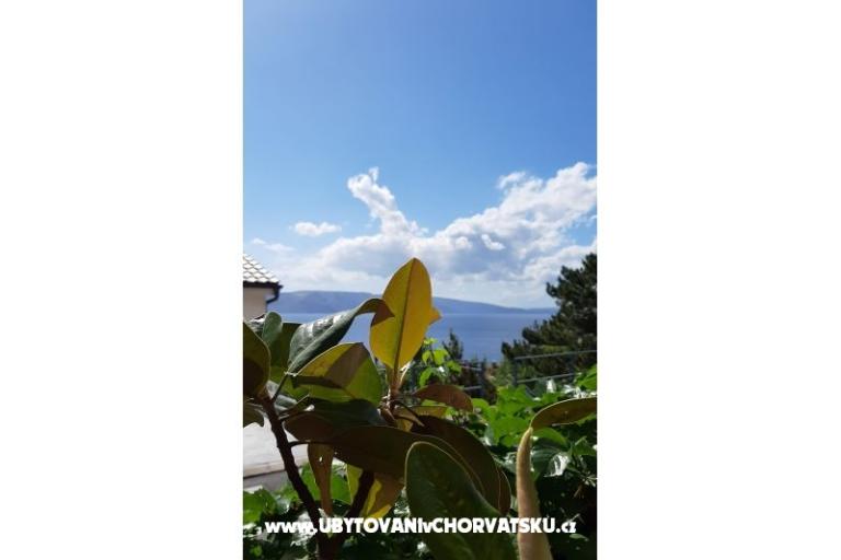 Apartamenty  MaDi  – foto 8