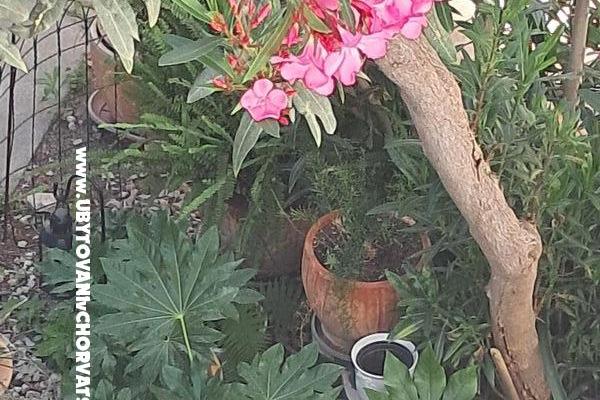 1918 Apartament centar Šibenik – foto 3