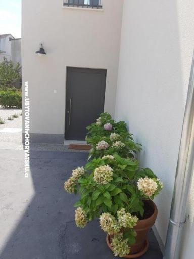 Apartament Era  – foto 15