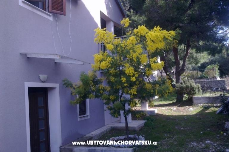 Apartament Katarina – foto 8