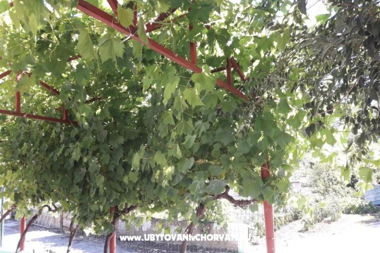 Apartament Stara kuća  – foto 3