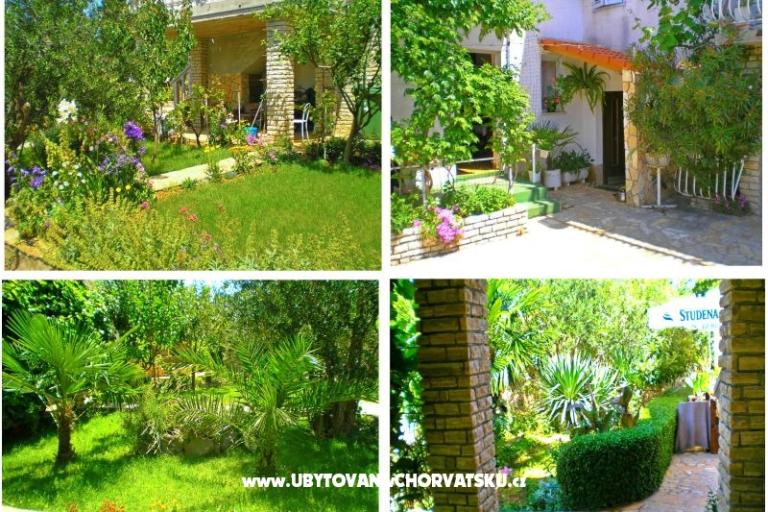 Apartamenty Antić – foto 14