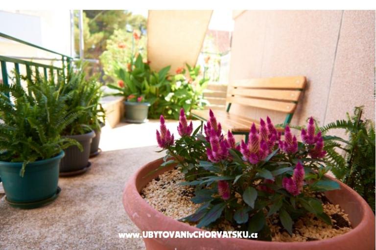 Apartamenty Baković – foto 7