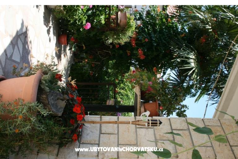 Apartamenty Gašperov – foto 10