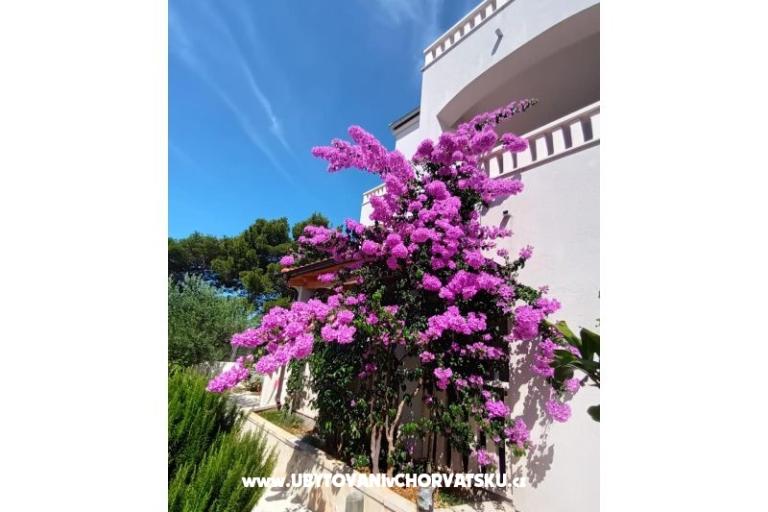 Apartamenty Pinea Sol – foto 3