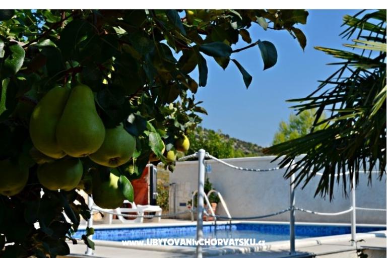 Apartamenty Villa RA – foto 9