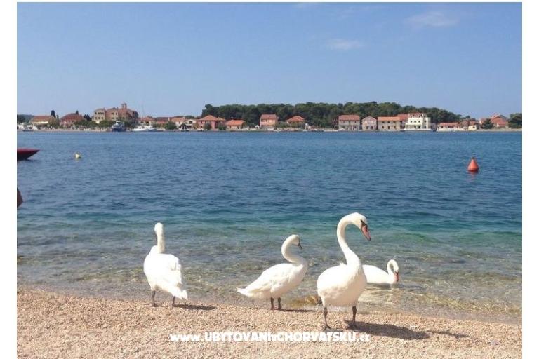 Sunset Hill Apartamenty – foto 16