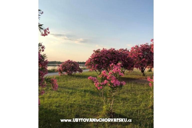 Apartamenty Tin&amp;Tin – foto 15