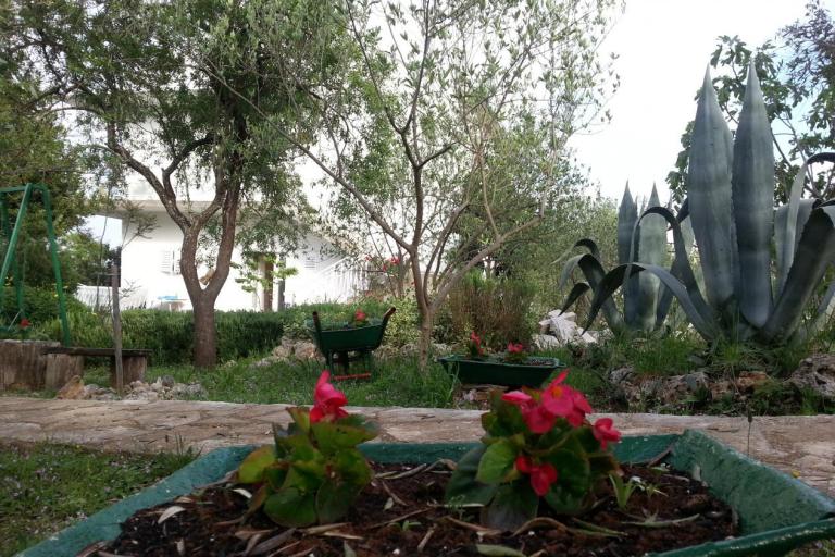 Apartamenty Vlado – foto 7