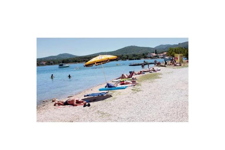Dalmatian – foto 4