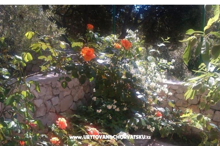 Lavanda Apartament – foto 17