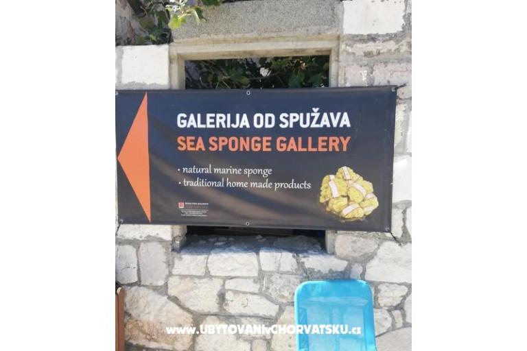 Apartamenty Villa Mare – foto 7