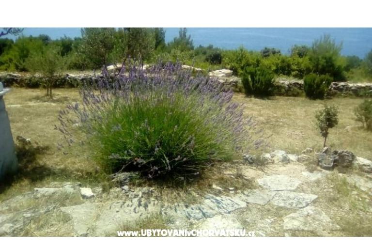 Apartamenty Villa Mare – foto 9