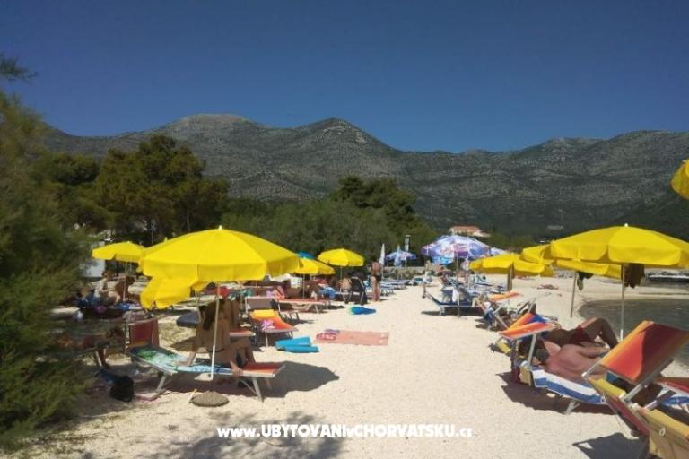 Apartamenty POLAČA - Slano – foto 14