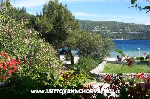 Apartamenty POLAČA - Slano – foto 9