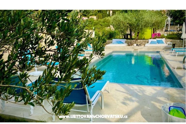 Villa Dube Slano/ villa z basenem – foto 3